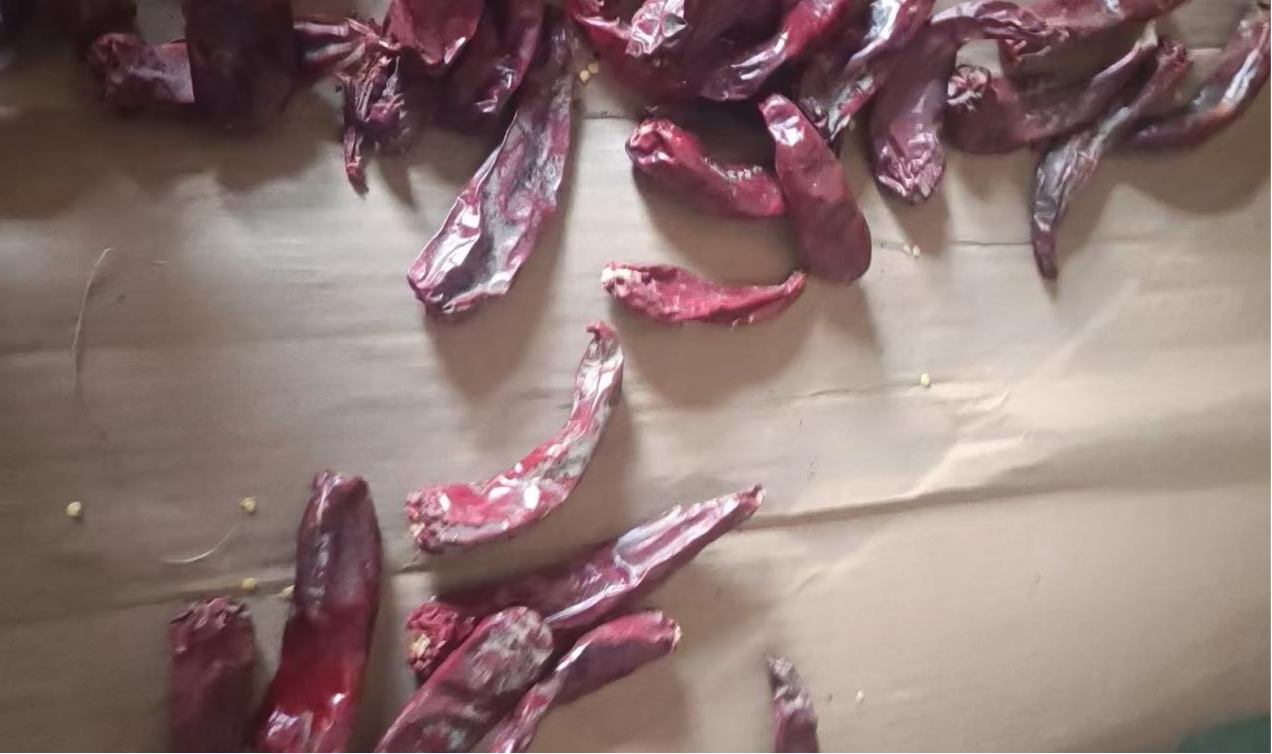 123